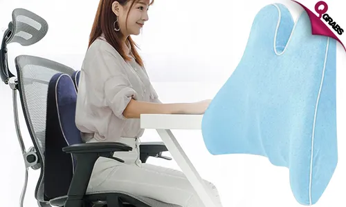 Memory Foam Back Support Pillow!